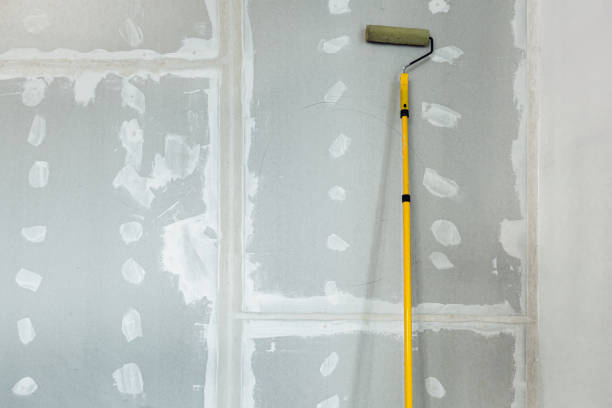 Best Real Estate Mold Inspection  in Lenoir City, TN