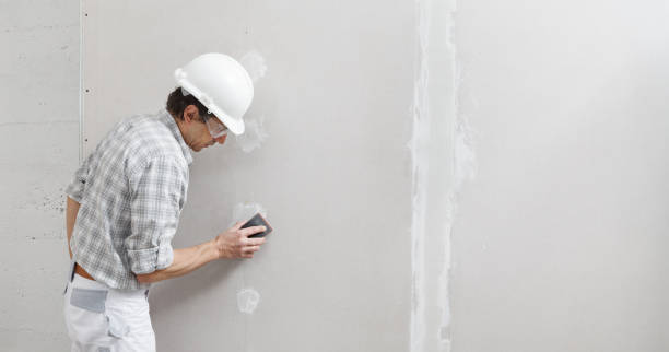 Mold Documentation for Insurance Claims in Lenoir City, TN