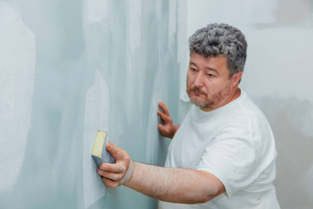Best Mold Prevention Services  in Lenoir City, TN