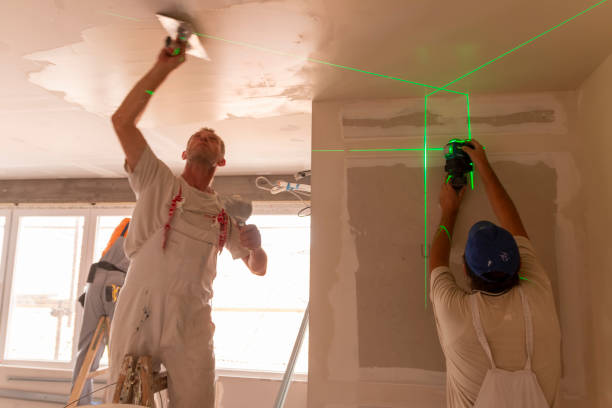 Best Basement Mold Removal  in Lenoir City, TN