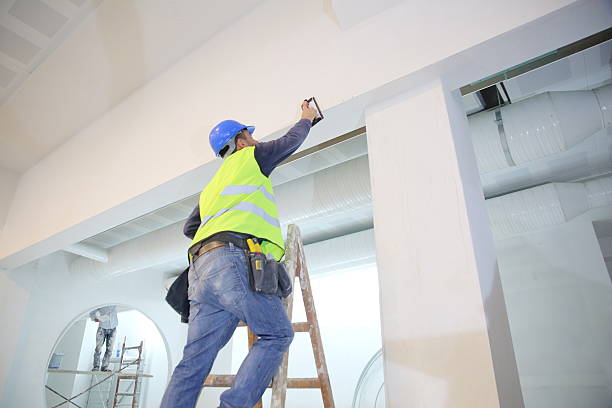 Best Mold Odor Removal Services  in Lenoir City, TN