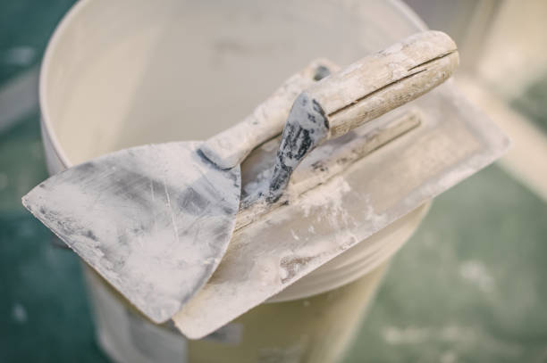 Best Forensic Mold Investigation  in Lenoir City, TN
